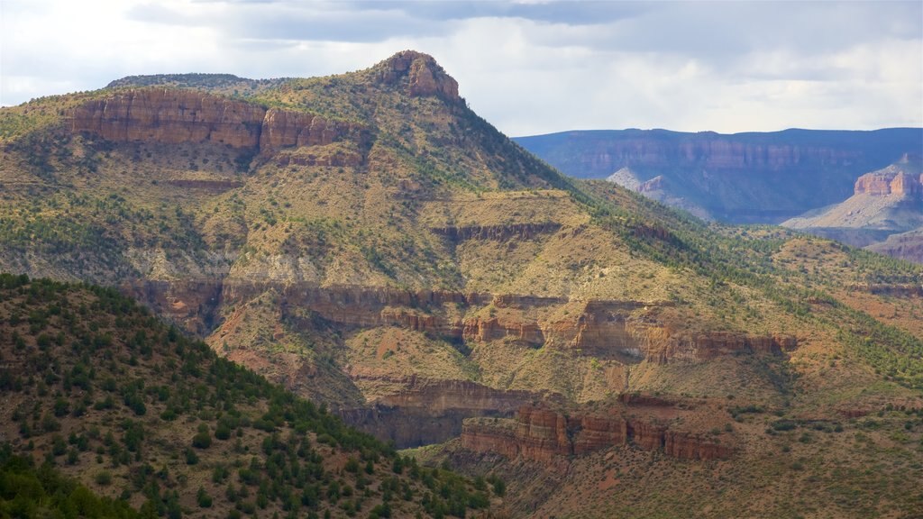 Região central de Arizona mostrando um desfiladeiro ou canyon, paisagem e cenas tranquilas