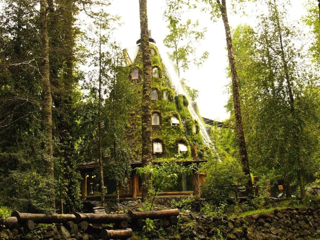 edificio-mimetizado-con-el-entorno-cubierto-de-hierba-en-bosque.jpg?1586948845