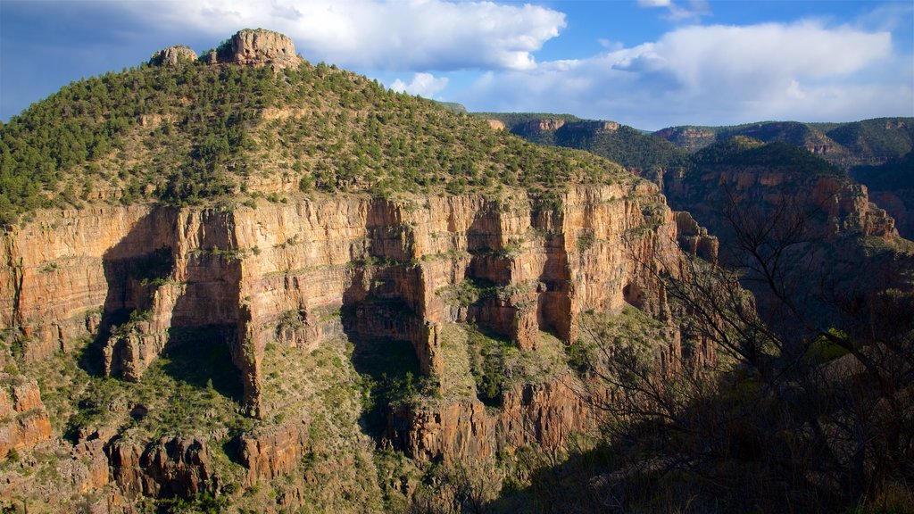 Centraal Arizona bevat een kloof of ravijn en vredige uitzichten