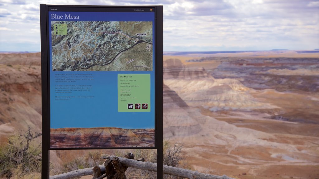 Petrified Forest National Park que inclui paisagens do deserto, um desfiladeiro ou canyon e sinalização