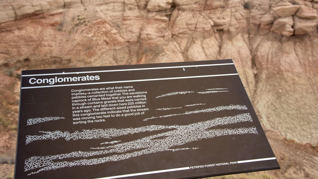 Petrified Forest National Park featuring desert views, signage and a gorge or canyon