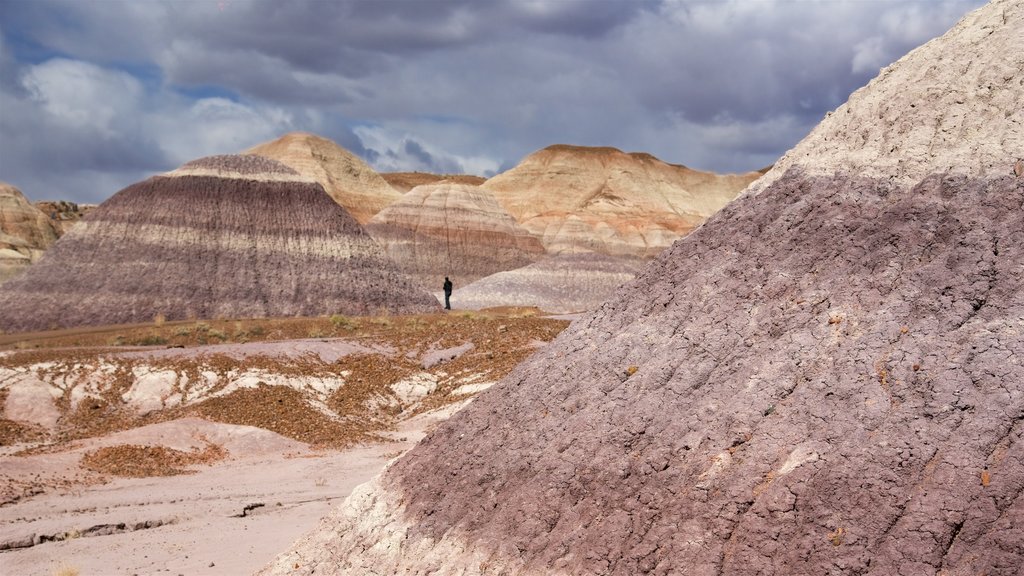 Nationaal park Petrified Forest bevat vredige uitzichten en woestijnen