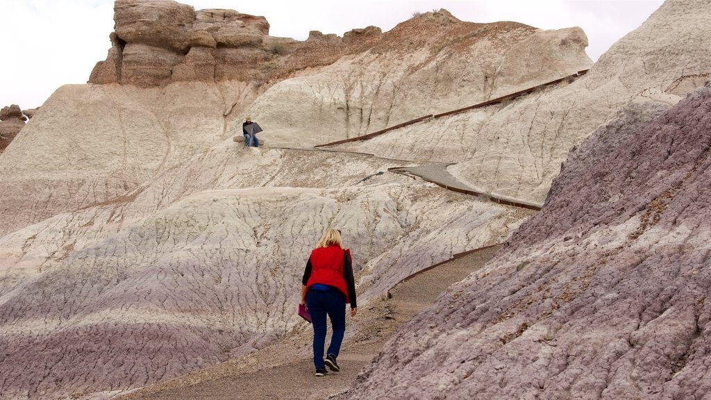 Petrified Forest National Park ofreciendo vista al desierto y escenas tranquilas y también una mujer