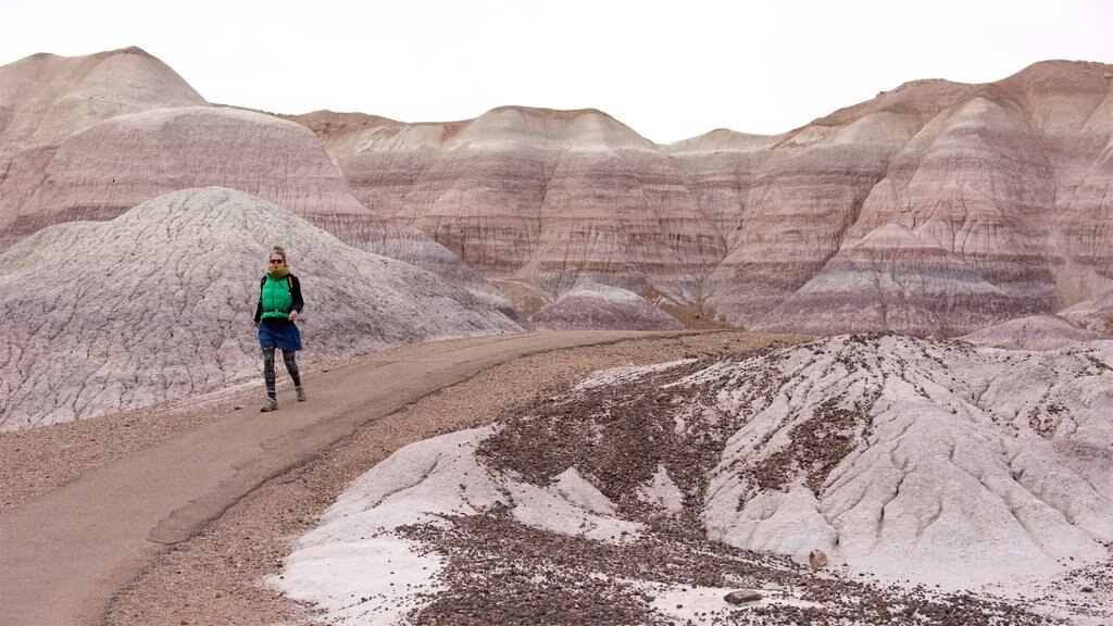 Petrified Forest National Park showing desert views and tranquil scenes as well as an individual female