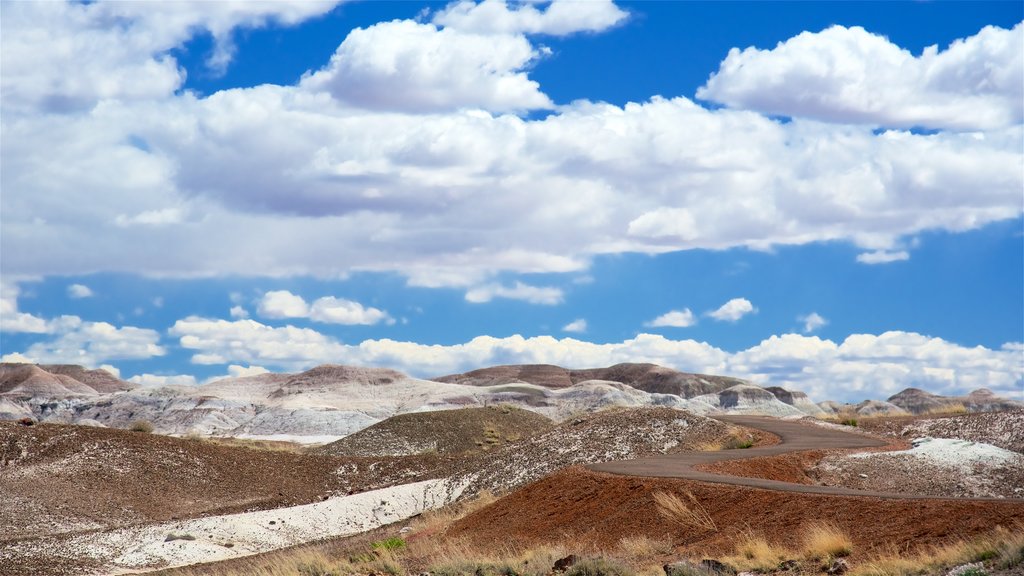 Parc national Petrified Forest qui includes paysages paisibles et vues du désert