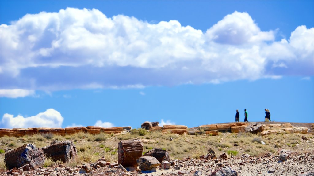 Petrified Forest National Park mostrando escenas tranquilas y vista al desierto y también un pequeño grupo de personas