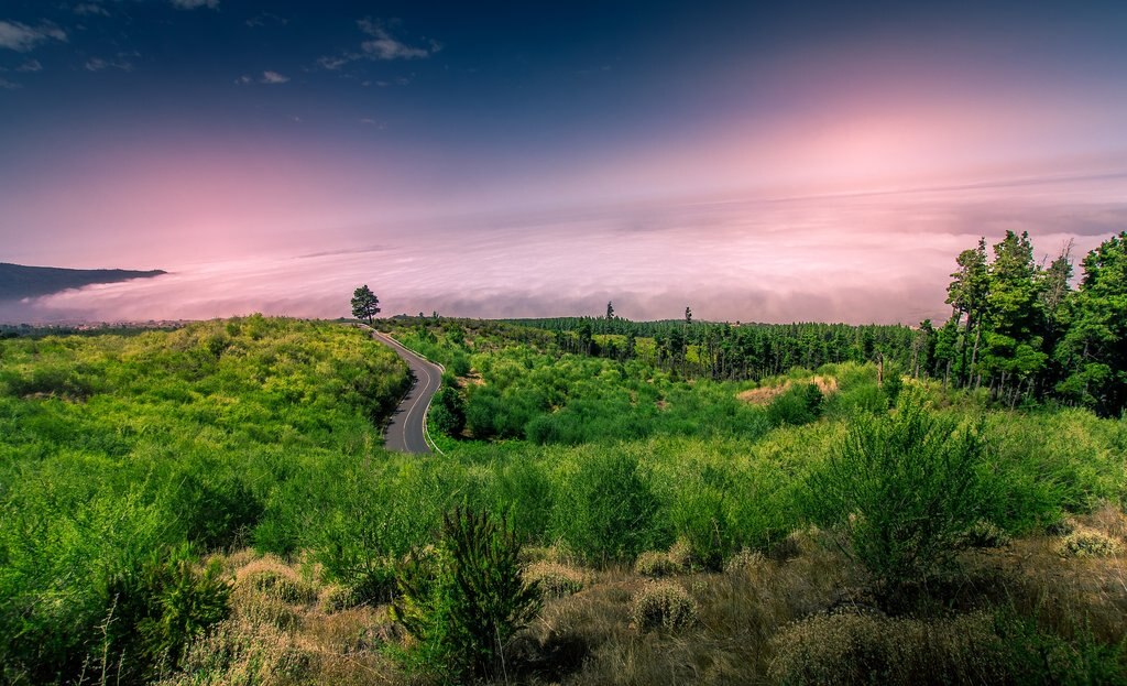 Mar_de_nubes_Teide.jpg?1587051734