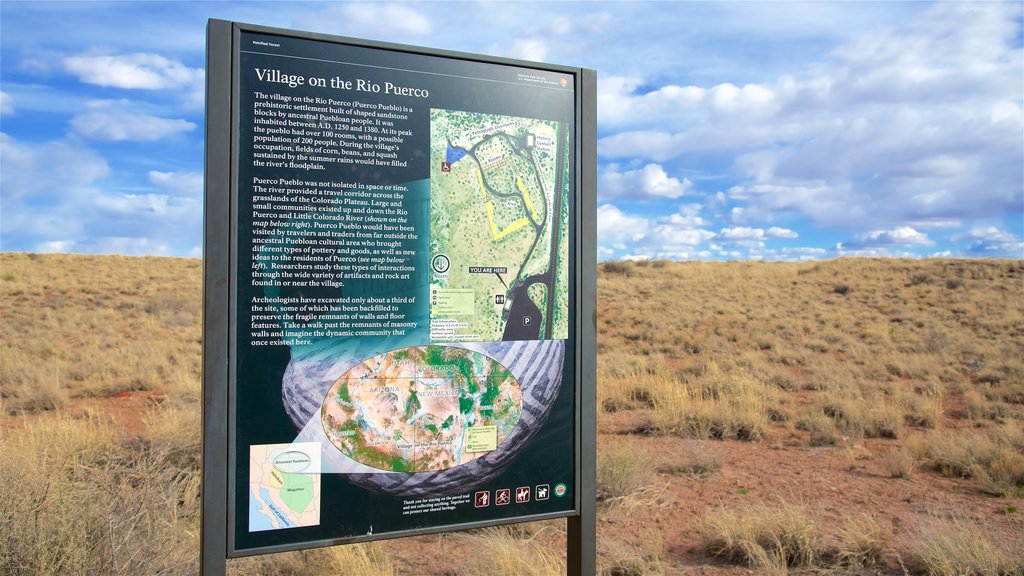 Petrified Forest National Park que incluye escenas tranquilas, señalización y vista al desierto