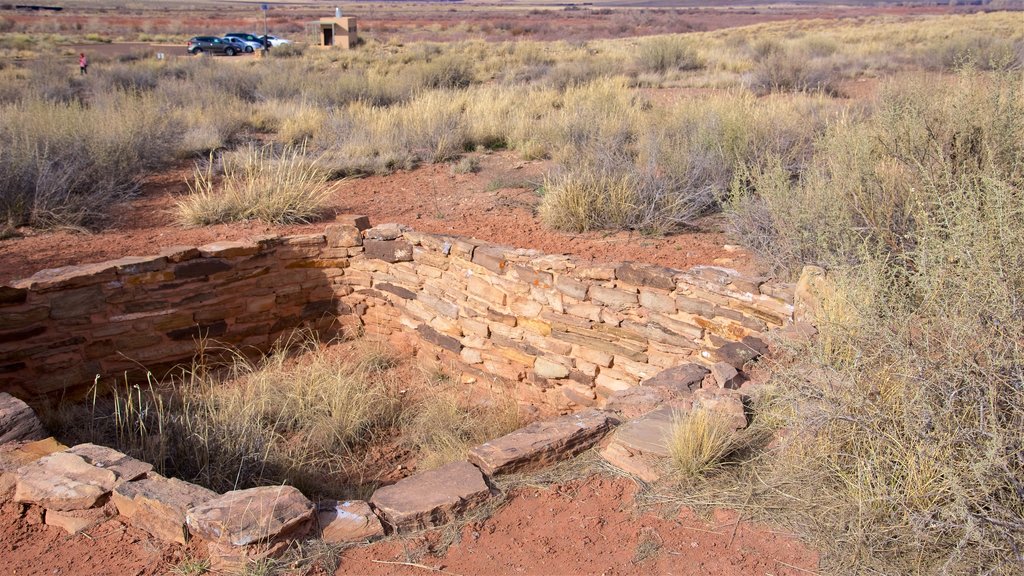 Parc national Petrified Forest mettant en vedette édifice en ruine, paysages paisibles et vues du désert