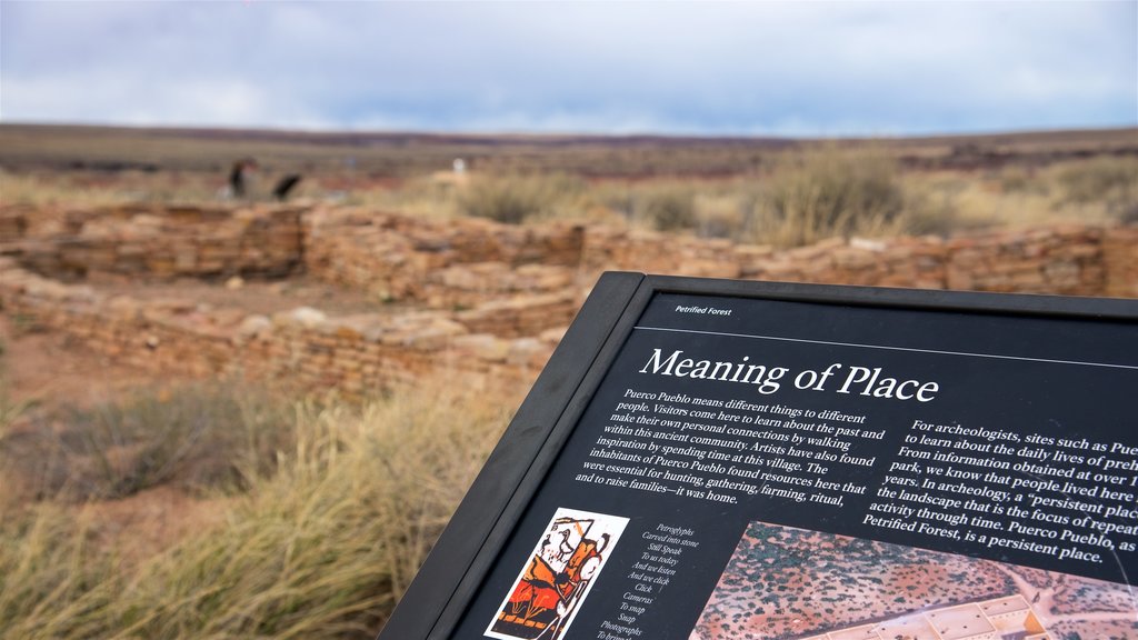 Parc national Petrified Forest mettant en vedette signalisation, édifice en ruine et paysages paisibles