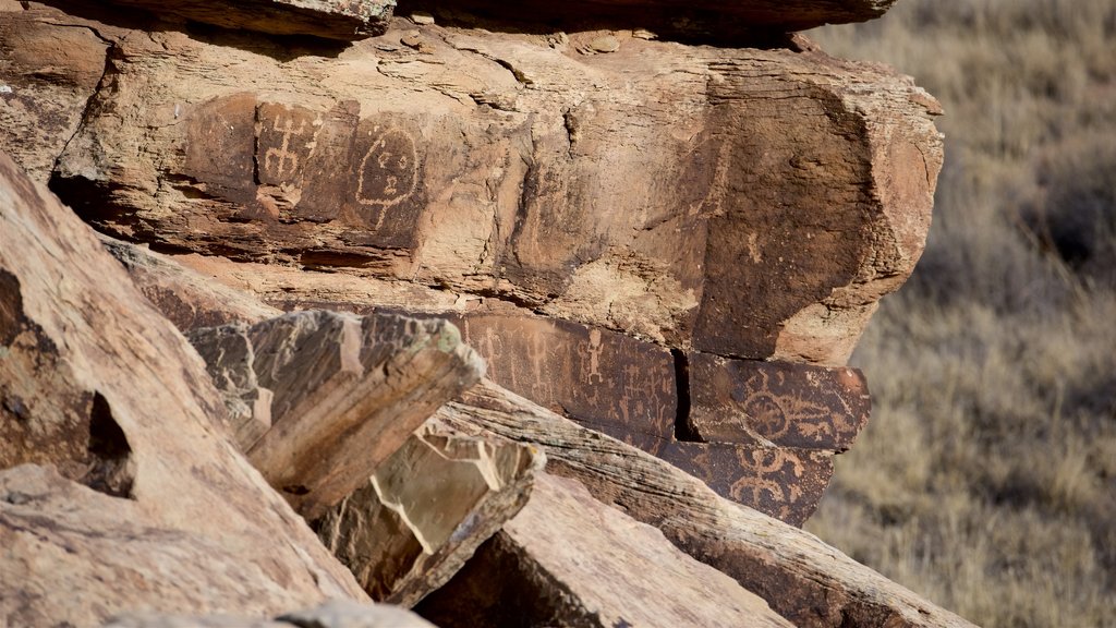 Parc national Petrified Forest qui includes paysages paisibles, culture indigène et éléments du patrimoine