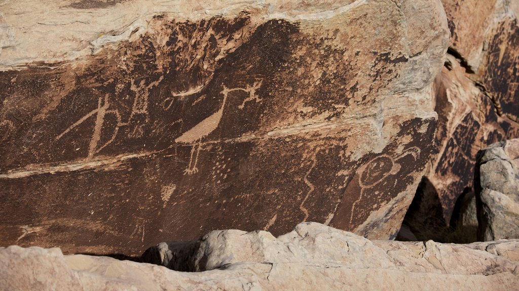 Petrified Forest National Park featuring tranquil scenes, heritage elements and desert views