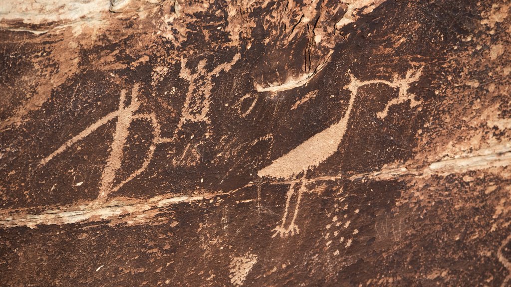 Petrified Forest National Park showing desert views, indigenous culture and heritage elements