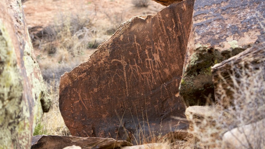 Petrified Forest National Park showing indigenous culture, heritage elements and tranquil scenes