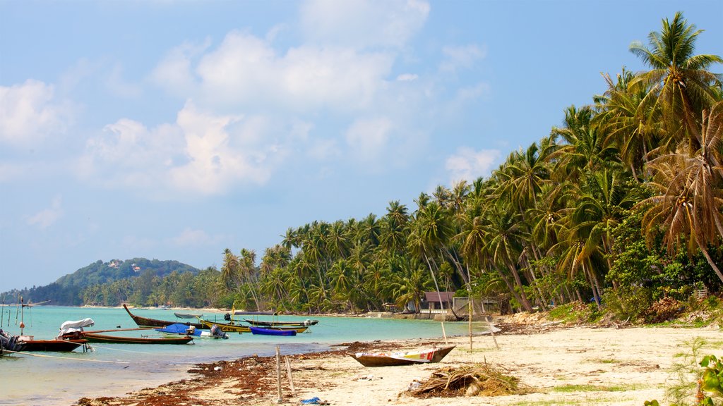 Thong Kut Beach showing a beach, tropical scenes and general coastal views