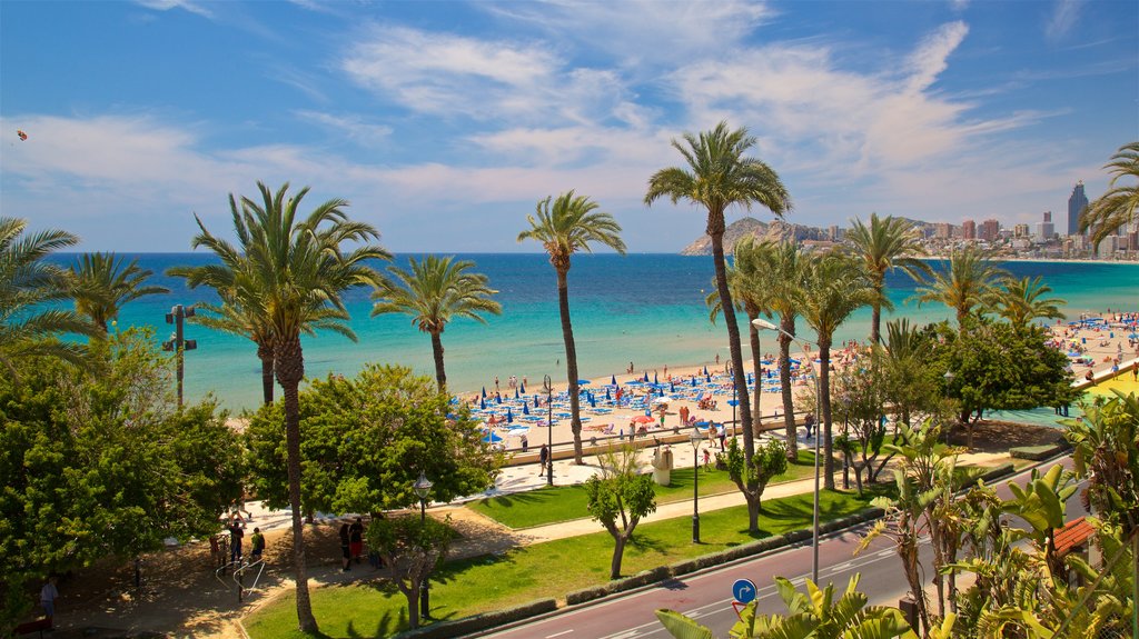 benidorm-parque-con-palmeras-y-el-mar-al-fondo.jpg?1587369513