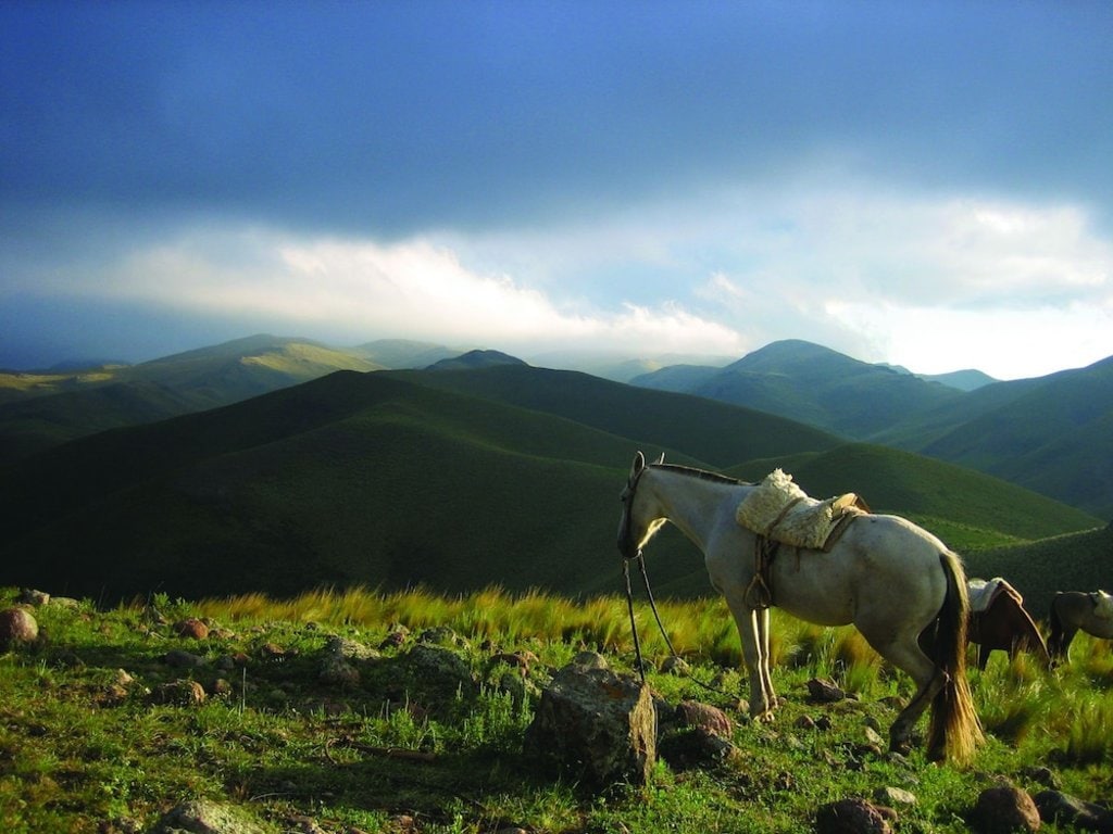 Dos_Lunas_Horse_Riding_Lodge.jpg?1587385779