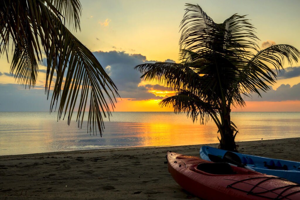 playa-belice-atardecer-palmera-y-barcas-de-kayak.jpg?1587395933