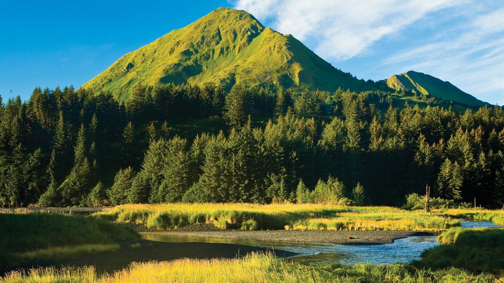 Kodiak ofreciendo un lago o abrevadero y montañas