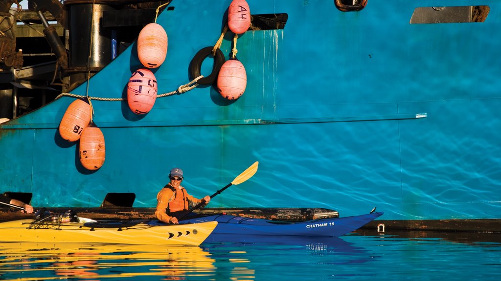 Pulau Kodiak menampilkan kayak atau kano maupun satu pria