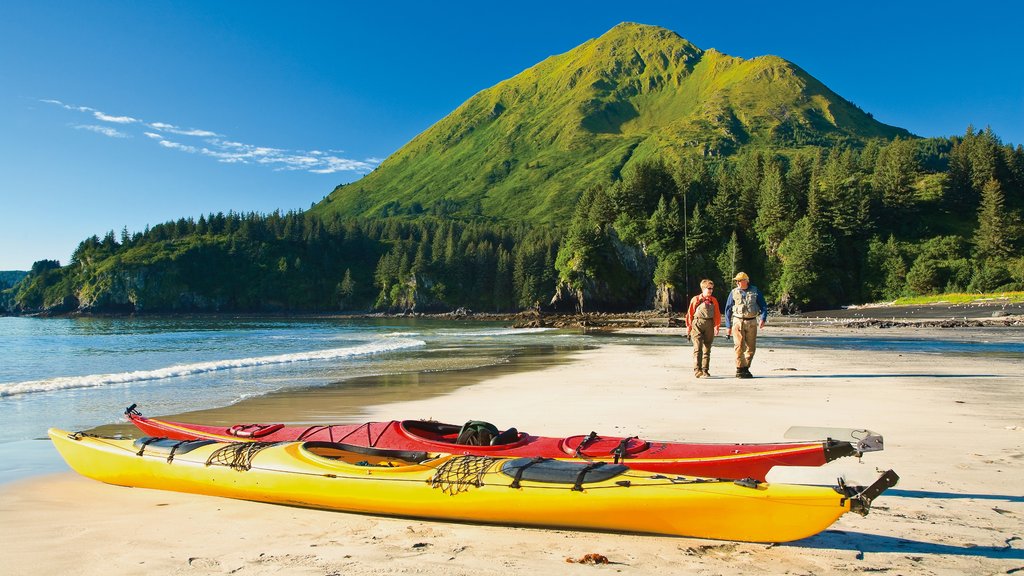 Kodiak mostrando una playa, kayak o canoa y montañas