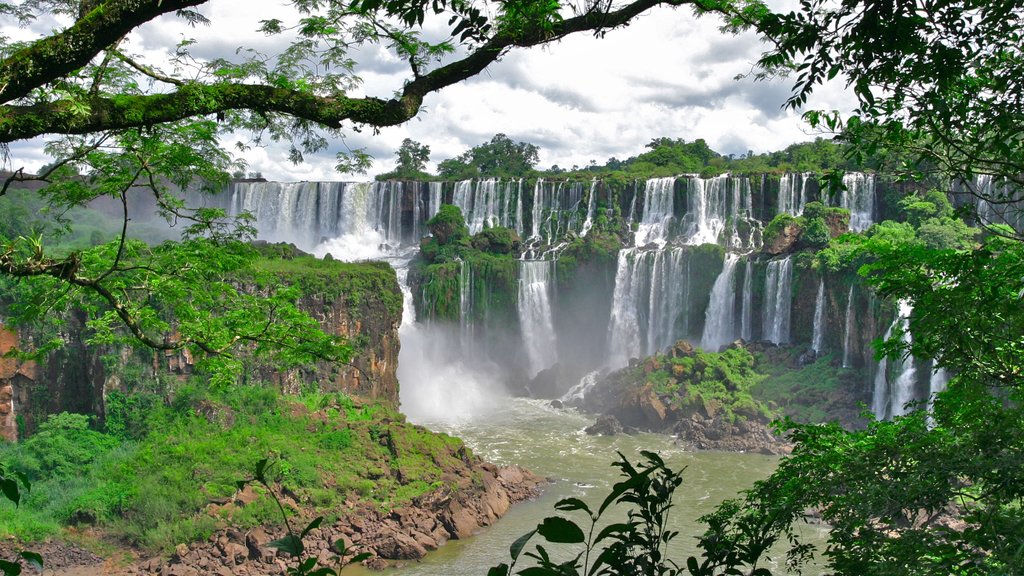 Mesopotamia featuring a cascade and tropical scenes