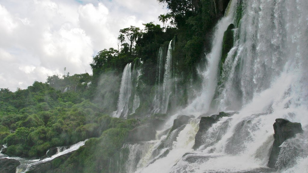 Mesopotamia que incluye selva y una catarata