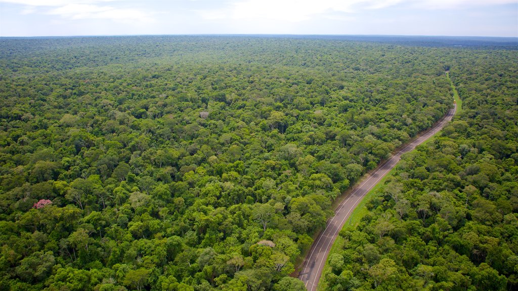 Mesopotamia which includes forests