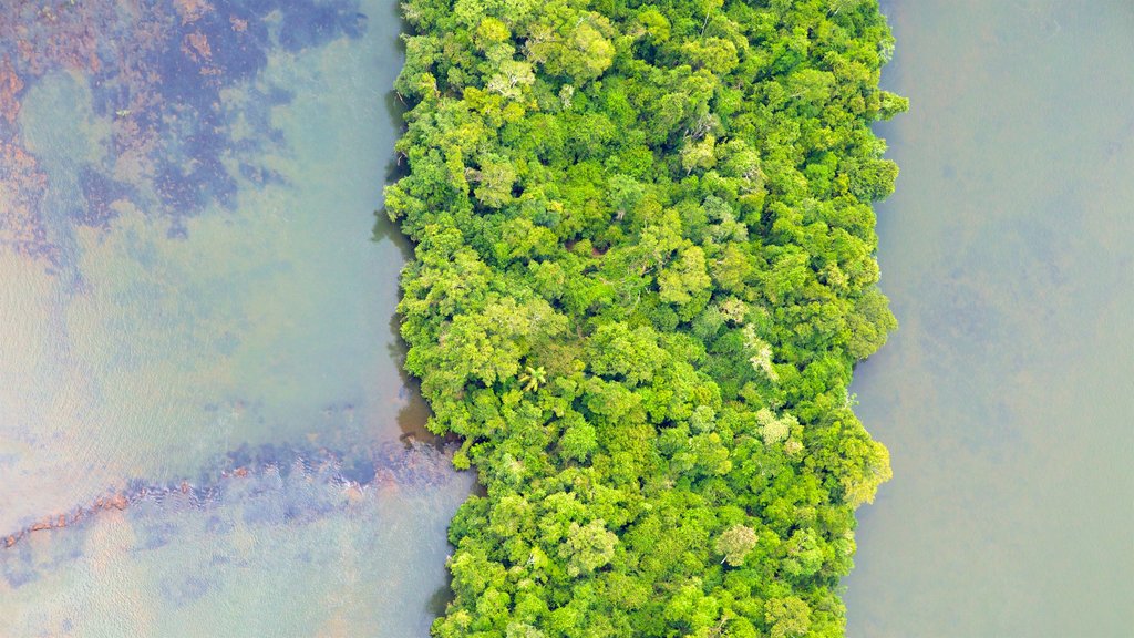 Mesopotamia ofreciendo bosques y un río o arroyo