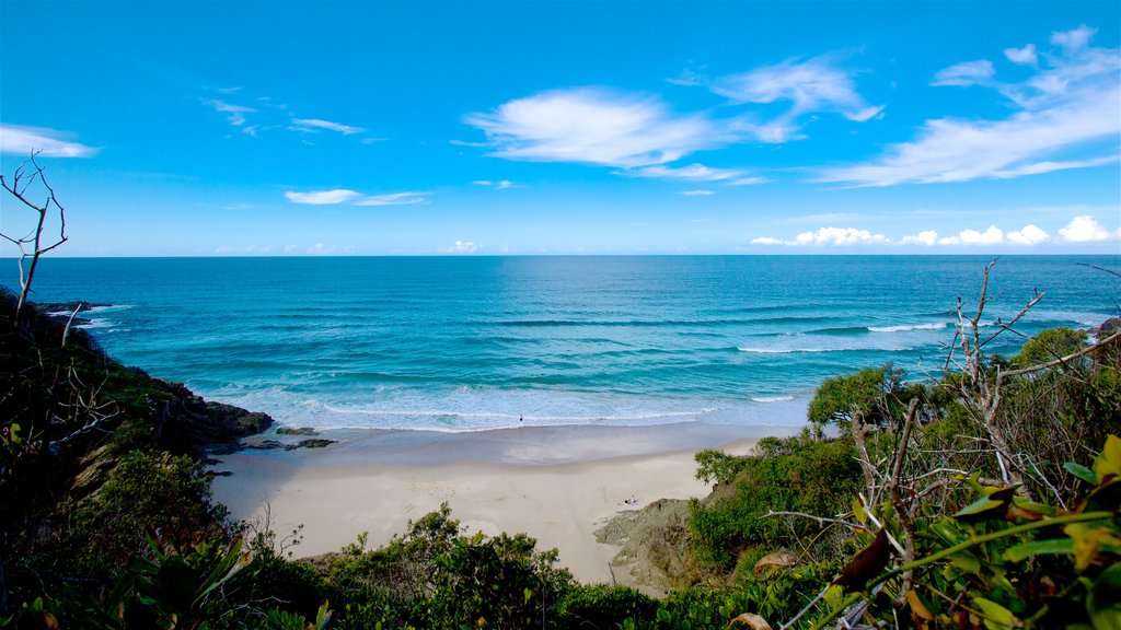 Ríos del Norte ofreciendo una playa de arena