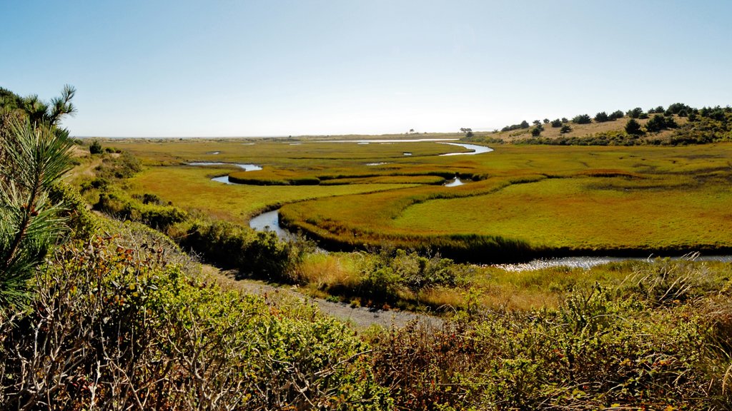 Point Reyes nasjonale kystlinje fasiliteter samt landskap, elv eller bekk og rolig landskap