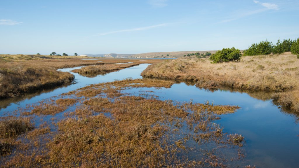 Point Reyes National Seashore som viser vådområde og fredfyldte omgivelser