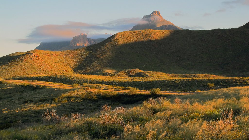 Parque Nacional Big Bend mostrando escenas tranquilas, un atardecer y montañas