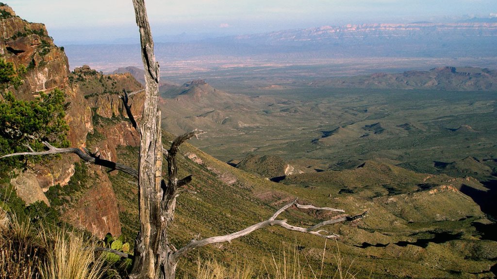 Parque Nacional Big Bend que incluye escenas tranquilas, vista panorámica y montañas