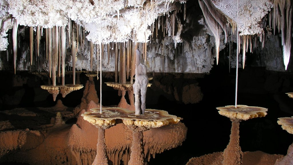 Carlsbad Cavernsin kansallispuisto joka esittää luolat