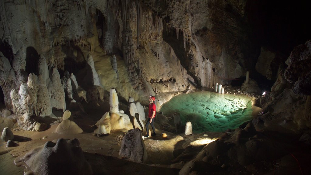 Parque Nacional Carlsbad Caverns que incluye cuevas y también un hombre