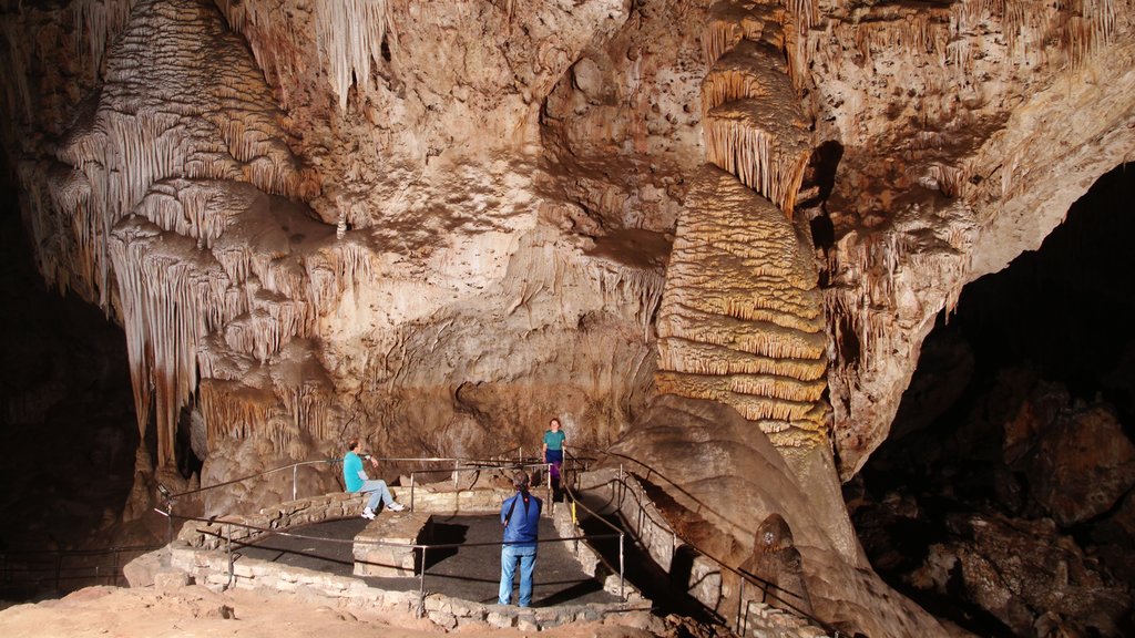 Parque Nacional Carlsbad Caverns que incluye cuevas y también un grupo pequeño de personas