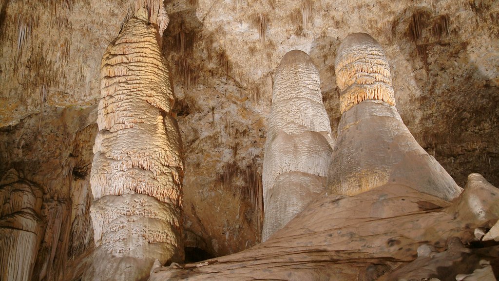 Carlsbad Caverns Nationalpark som viser huler