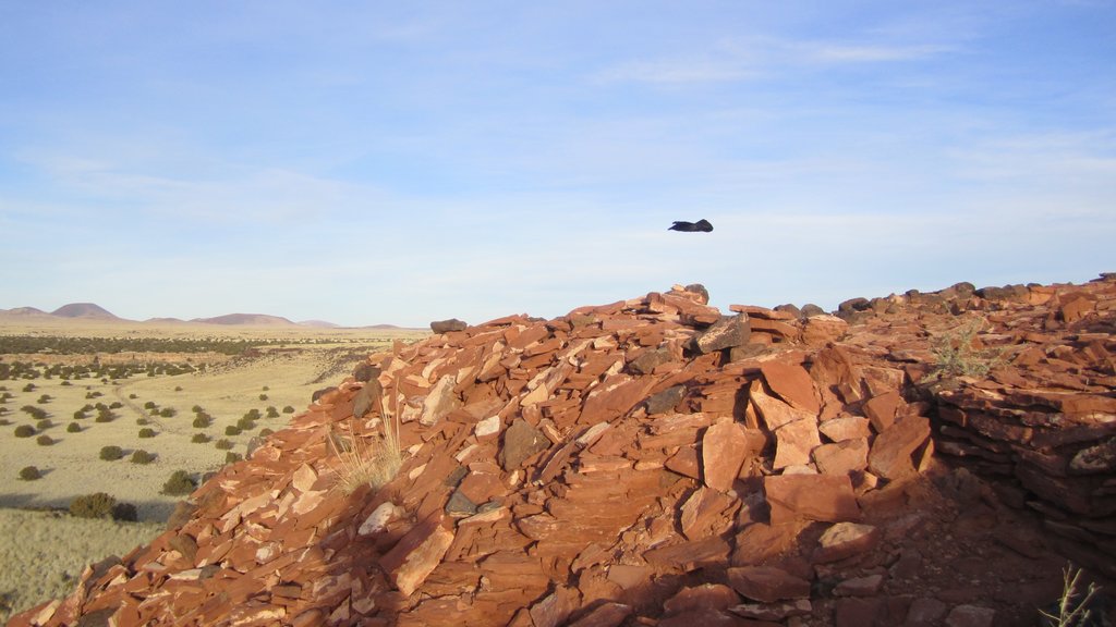 Wupatki National Monument ofreciendo escenas tranquilas