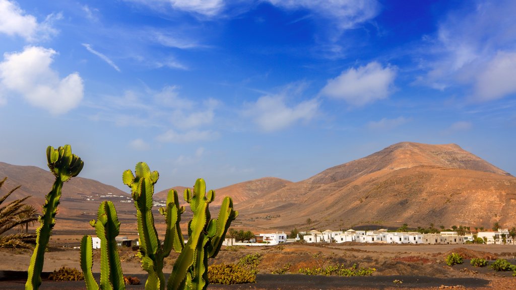 Lanzarote johon kuuluu rauhalliset maisemat ja autiomaanäkymät