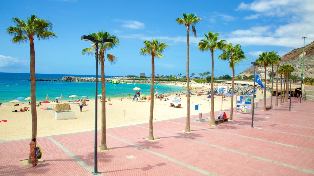 Las Palmas de Gran Canaria as well as a large group of people