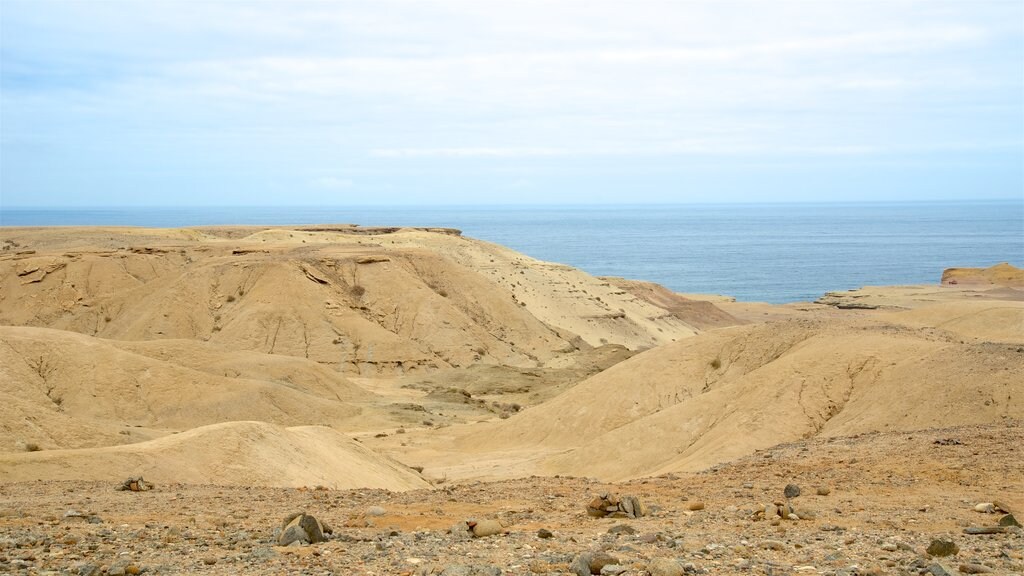 Atacama inclusief woestijnen, algemene kustgezichten en vredige uitzichten