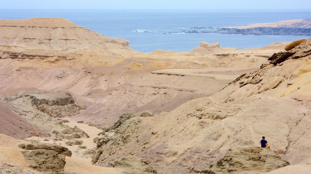 Atacama bevat woestijnen, vredige uitzichten en rotsachtige kustlijn