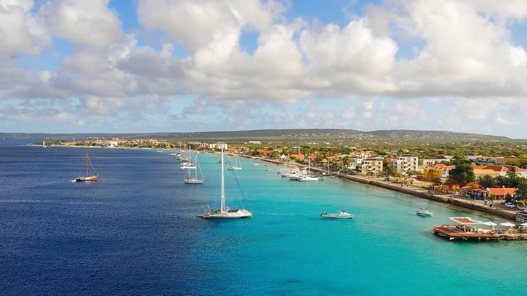 Bonaire toont algemene kustgezichten, vredige uitzichten en een baai of haven