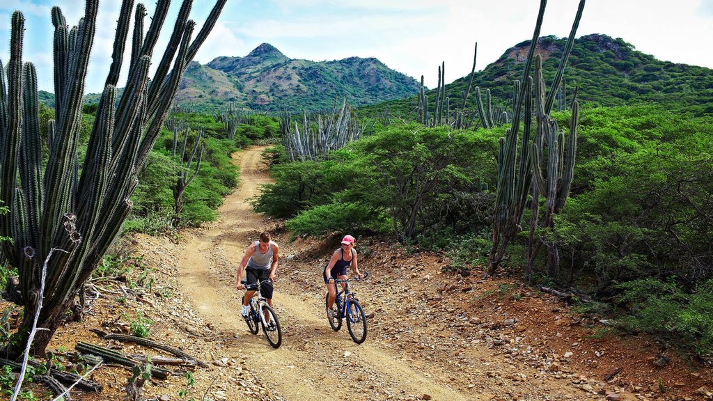 Bonaire mostrando bicicletas de montaña y escenas tranquilas y también una pareja