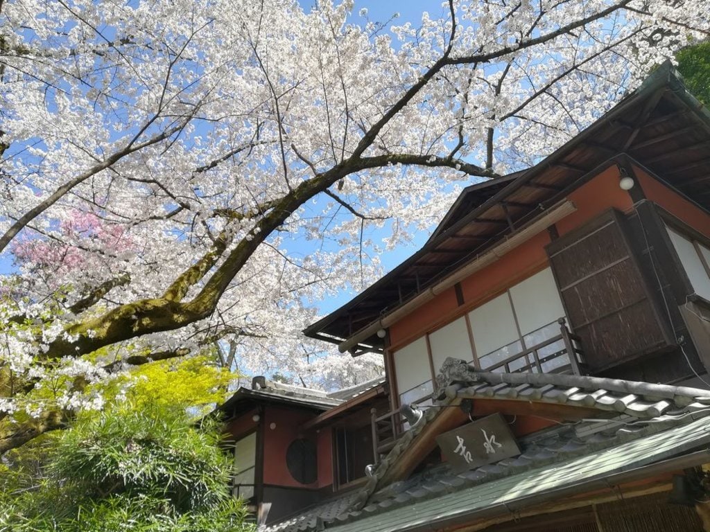 Japanese_Inn_Yoshimizu.jpg?1587570411