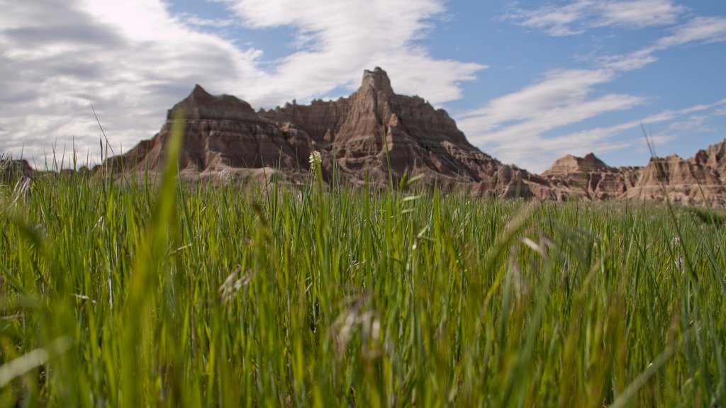 Badlands nasjonalpark fasiliteter samt rolig landskap