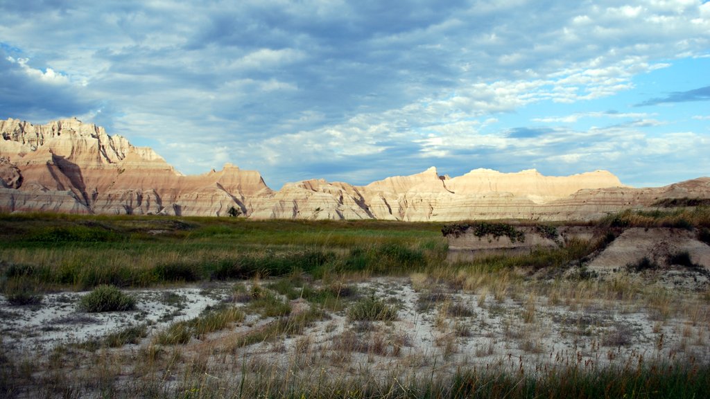 Badlands Nationalpark som omfatter udsigt over landskaber og fredfyldte omgivelser