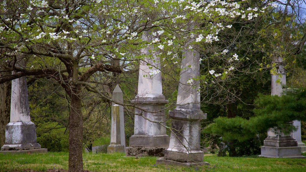 Spring Grove Cemetery mostrando uma estátua ou escultura e um cemitério