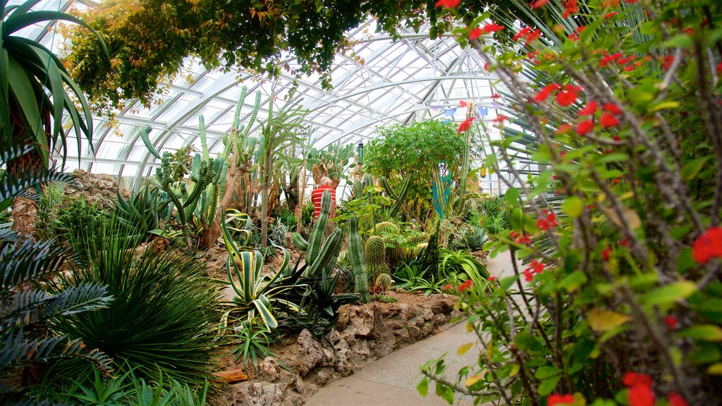 Krohn Conservatory featuring a park and wild flowers